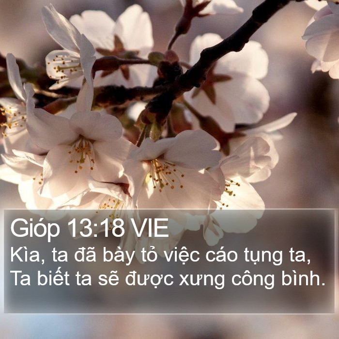 Gióp 13:18 VIE Bible Study