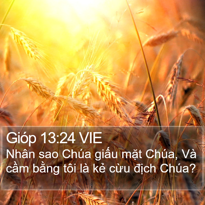 Gióp 13:24 VIE Bible Study