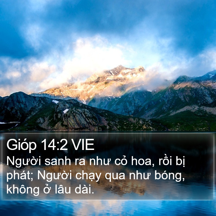 Gióp 14:2 VIE Bible Study