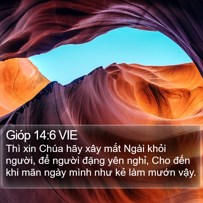 Gióp 14:6 VIE Bible Study