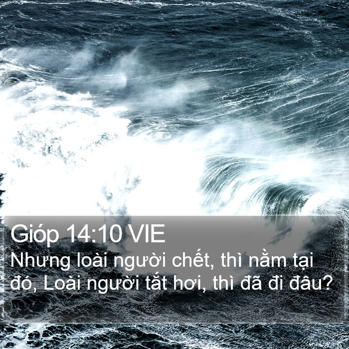 Gióp 14:10 VIE Bible Study