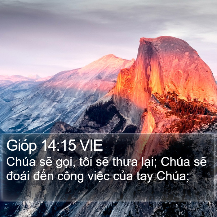 Gióp 14:15 VIE Bible Study