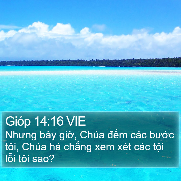Gióp 14:16 VIE Bible Study