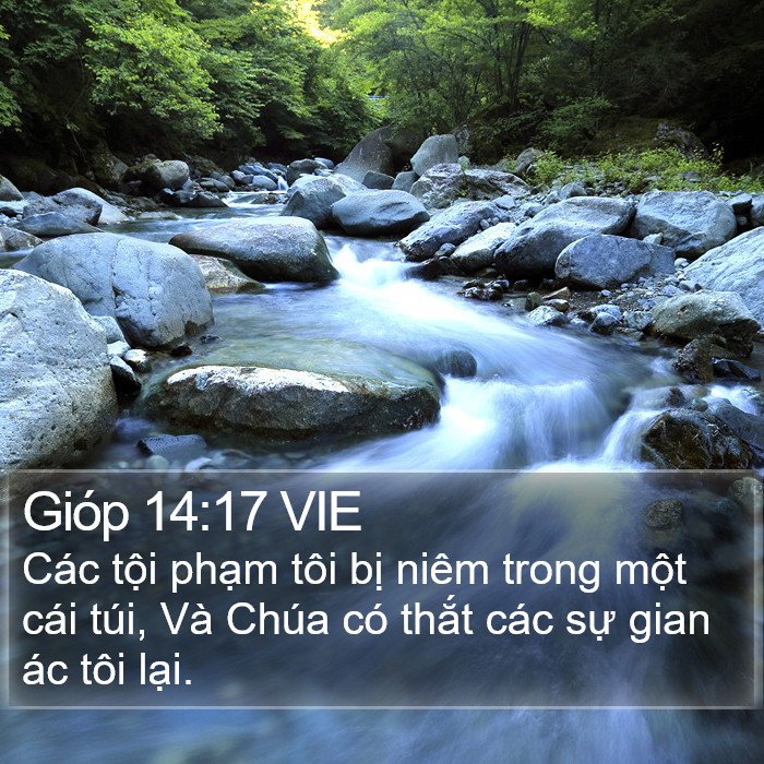Gióp 14:17 VIE Bible Study