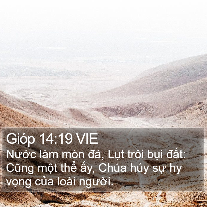 Gióp 14:19 VIE Bible Study