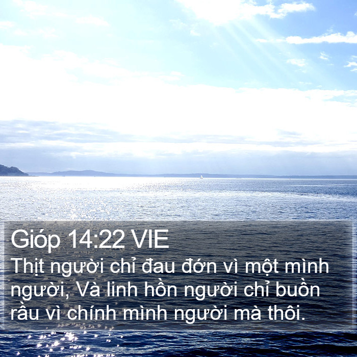 Gióp 14:22 VIE Bible Study