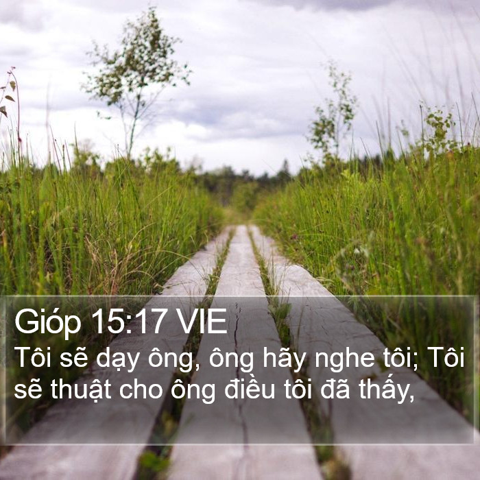 Gióp 15:17 VIE Bible Study