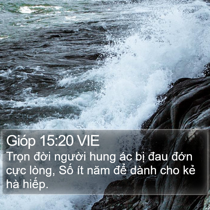 Gióp 15:20 VIE Bible Study