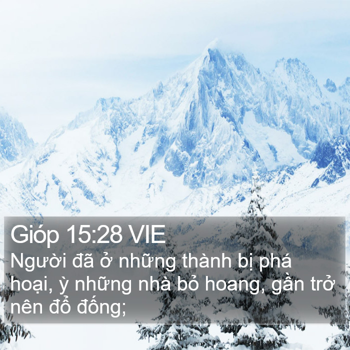 Gióp 15:28 VIE Bible Study