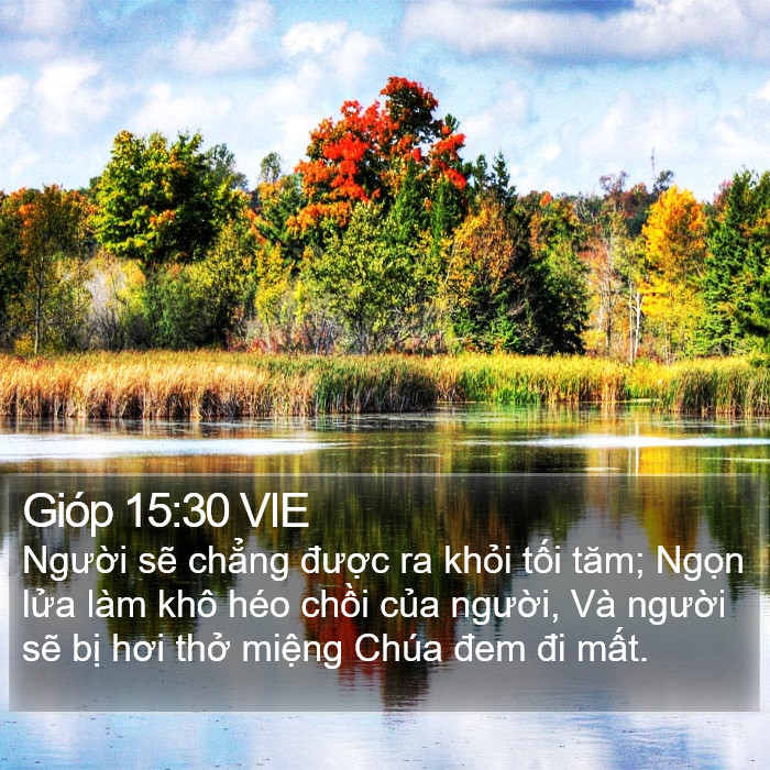 Gióp 15:30 VIE Bible Study