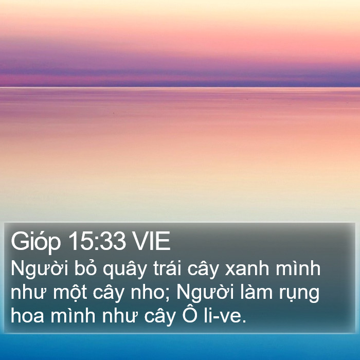 Gióp 15:33 VIE Bible Study