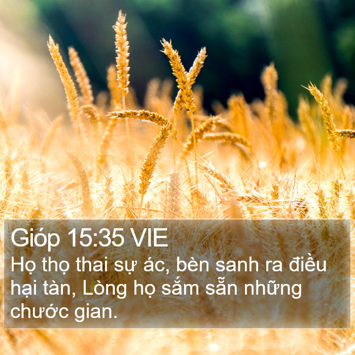 Gióp 15:35 VIE Bible Study