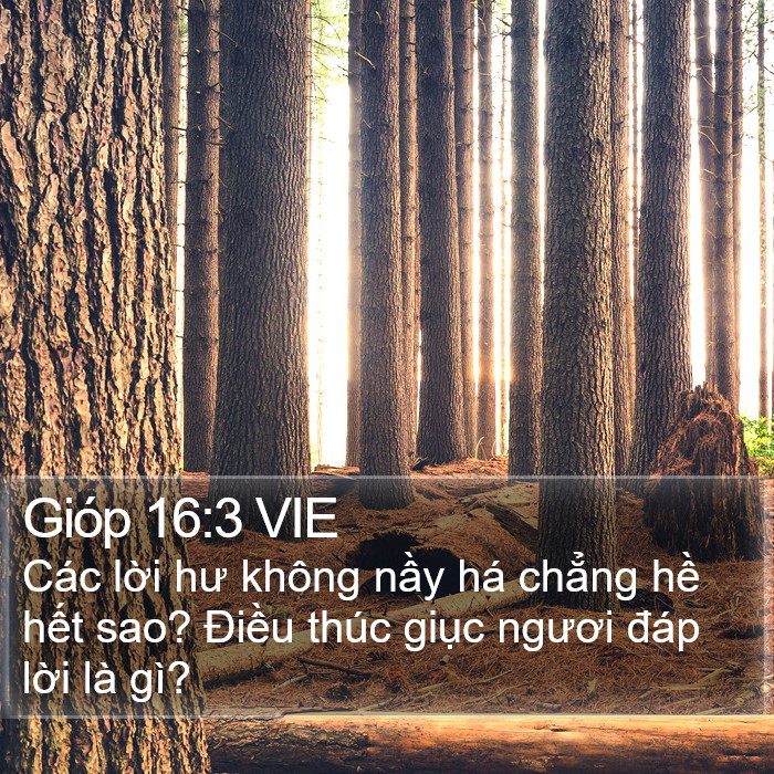 Gióp 16:3 VIE Bible Study