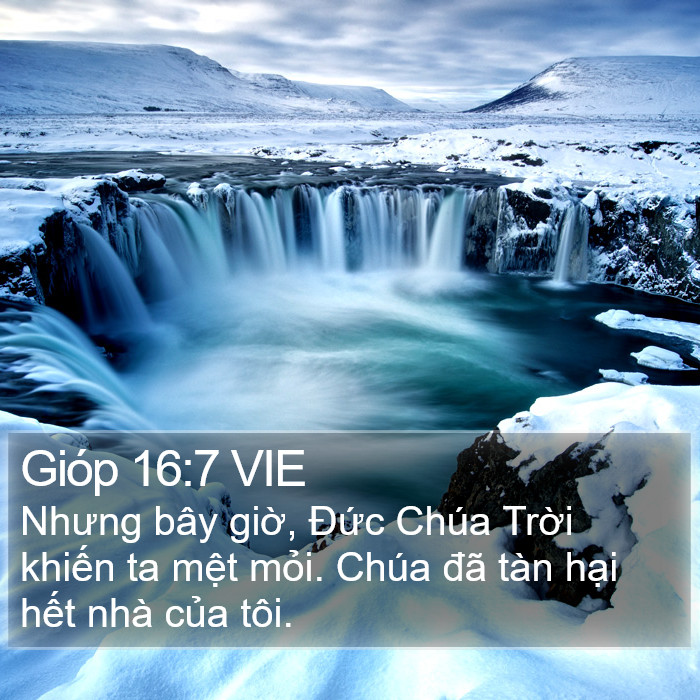 Gióp 16:7 VIE Bible Study