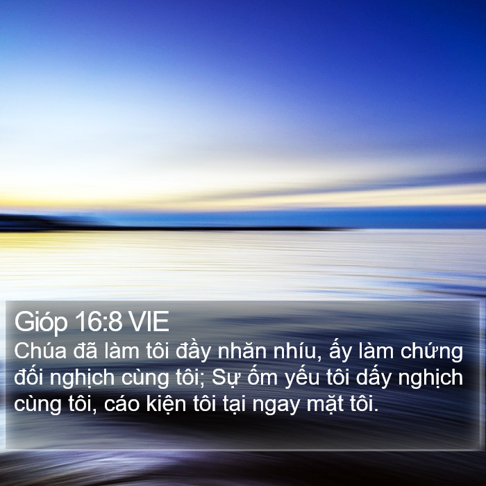 Gióp 16:8 VIE Bible Study