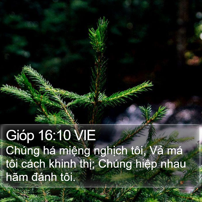 Gióp 16:10 VIE Bible Study