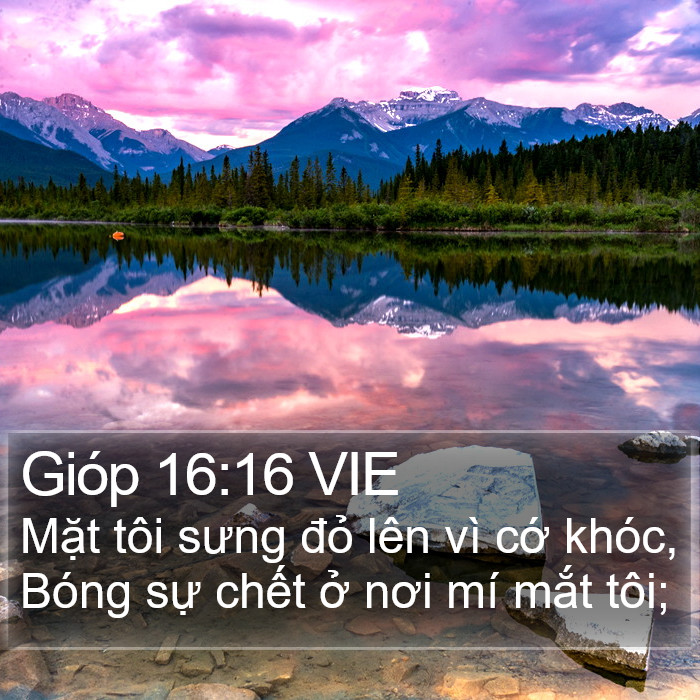 Gióp 16:16 VIE Bible Study