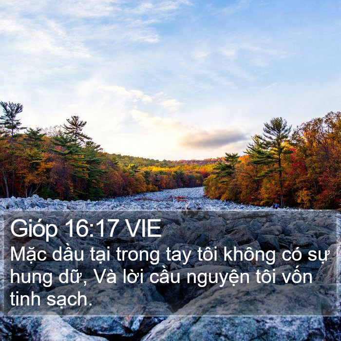 Gióp 16:17 VIE Bible Study