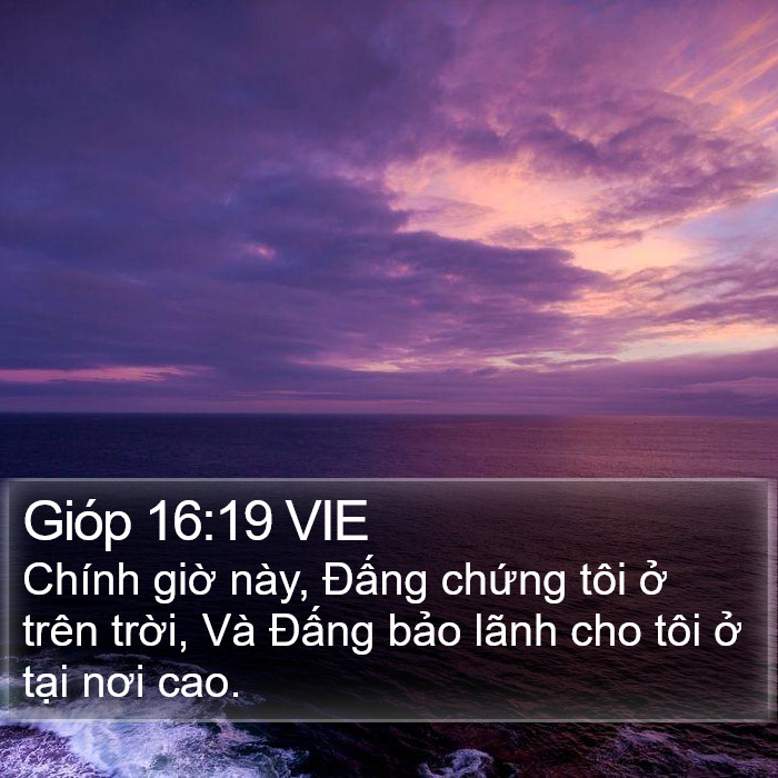 Gióp 16:19 VIE Bible Study