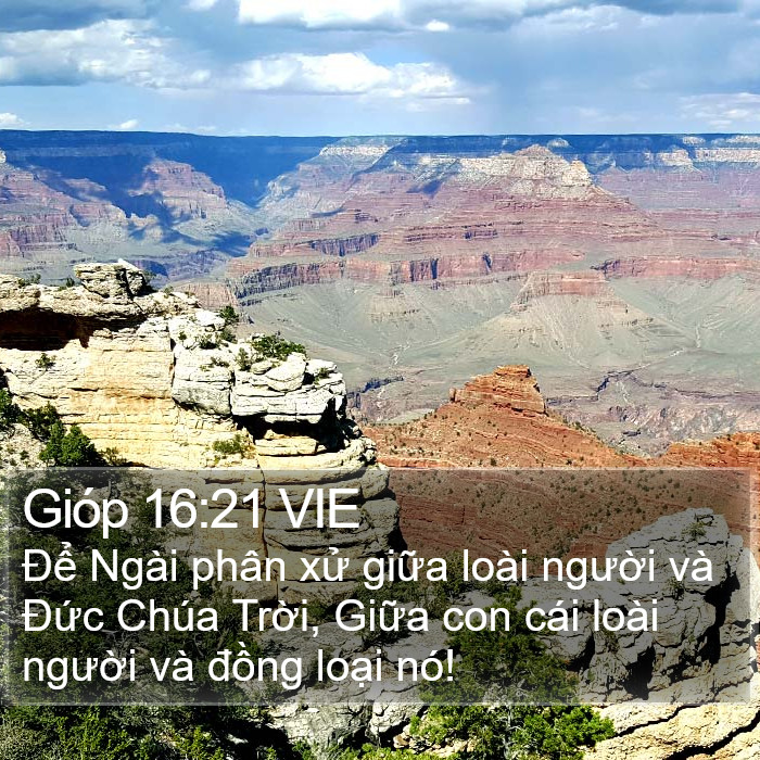 Gióp 16:21 VIE Bible Study