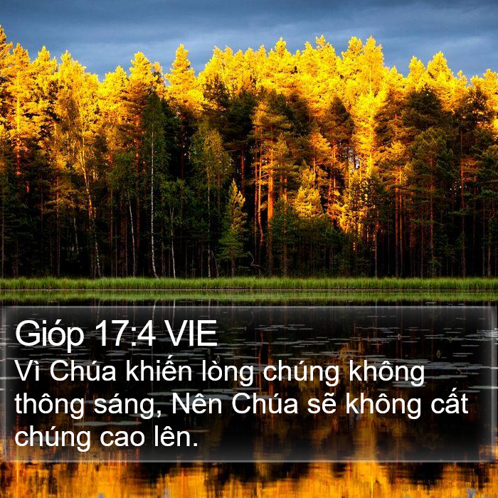 Gióp 17:4 VIE Bible Study