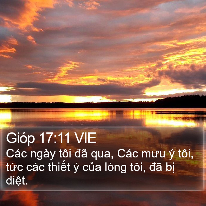 Gióp 17:11 VIE Bible Study