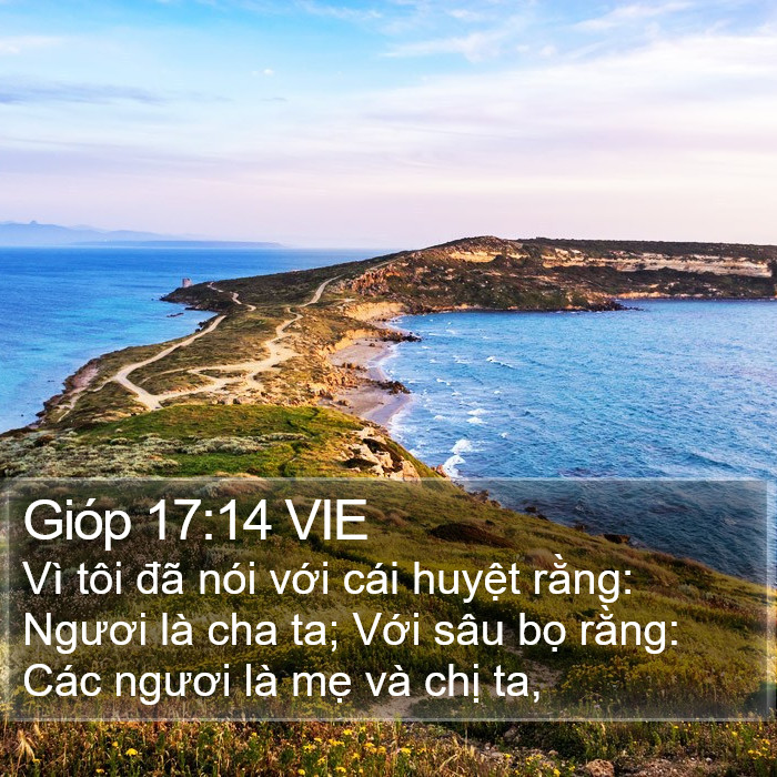 Gióp 17:14 VIE Bible Study