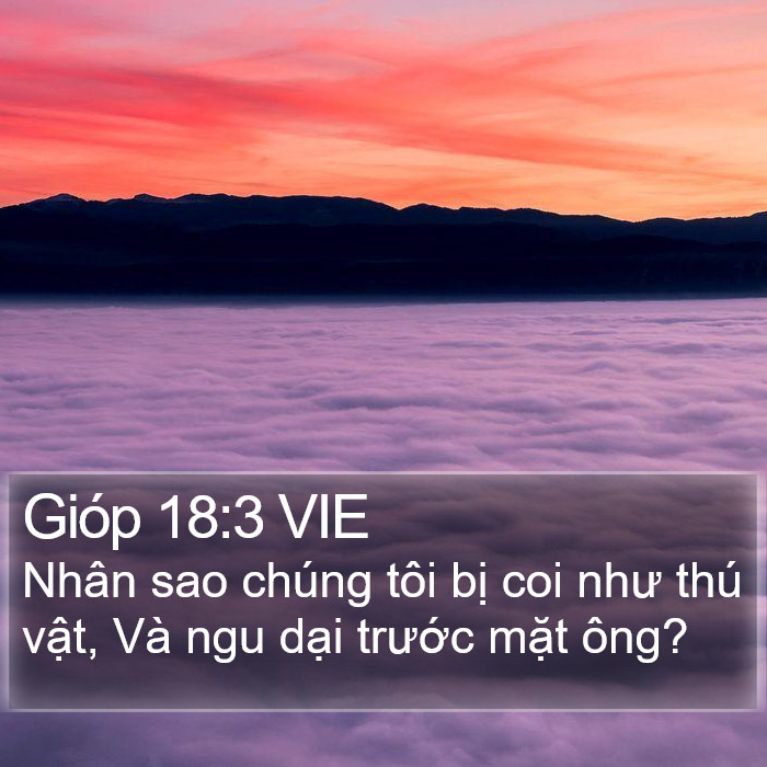 Gióp 18:3 VIE Bible Study