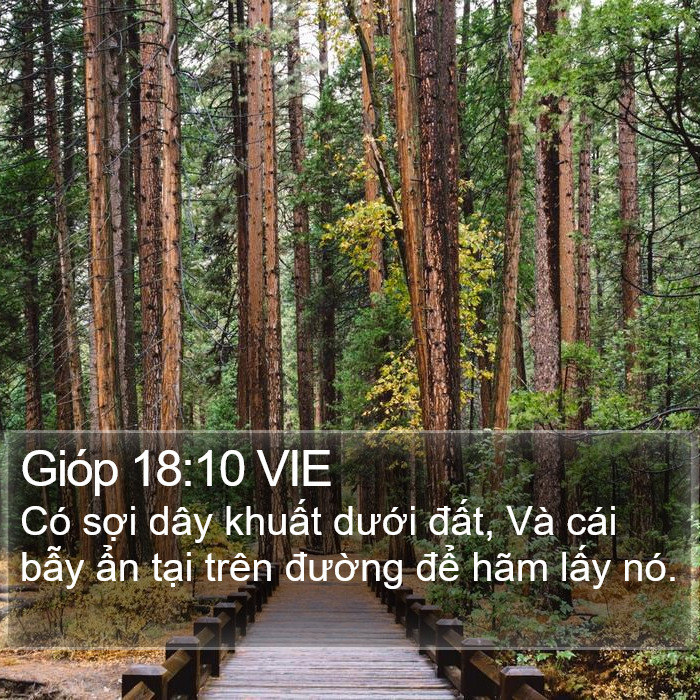 Gióp 18:10 VIE Bible Study
