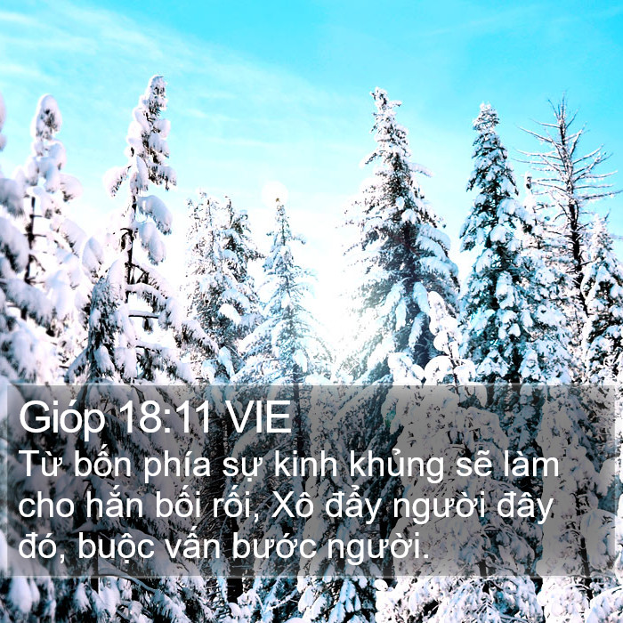 Gióp 18:11 VIE Bible Study