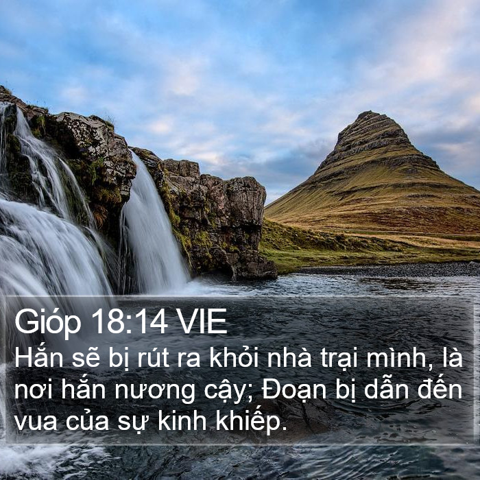 Gióp 18:14 VIE Bible Study