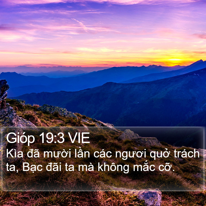 Gióp 19:3 VIE Bible Study