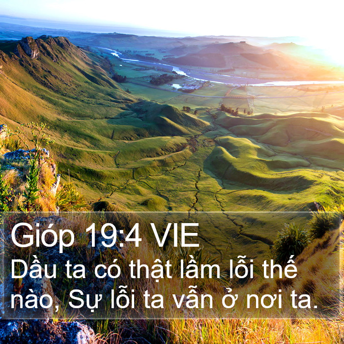 Gióp 19:4 VIE Bible Study