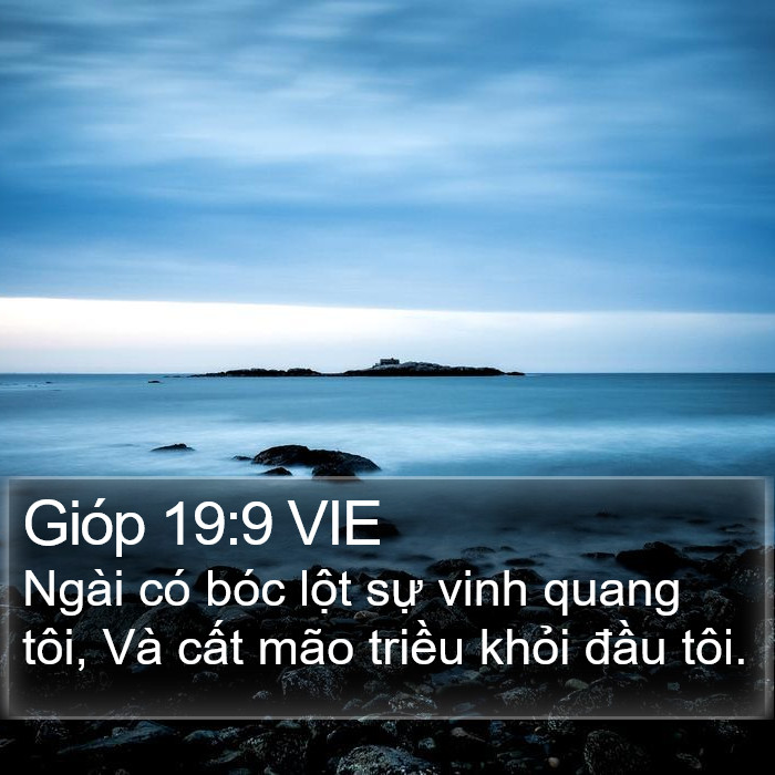 Gióp 19:9 VIE Bible Study