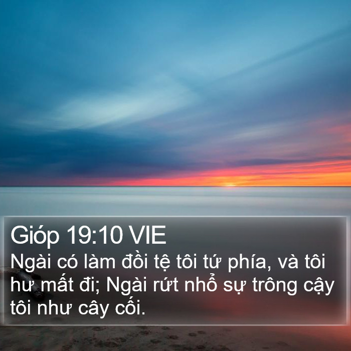 Gióp 19:10 VIE Bible Study