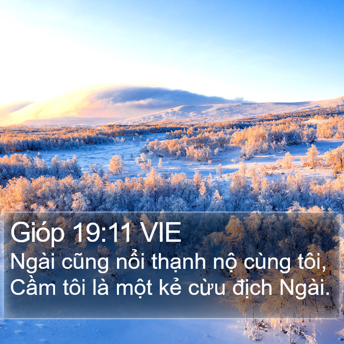 Gióp 19:11 VIE Bible Study