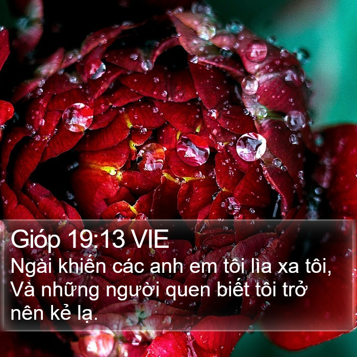 Gióp 19:13 VIE Bible Study