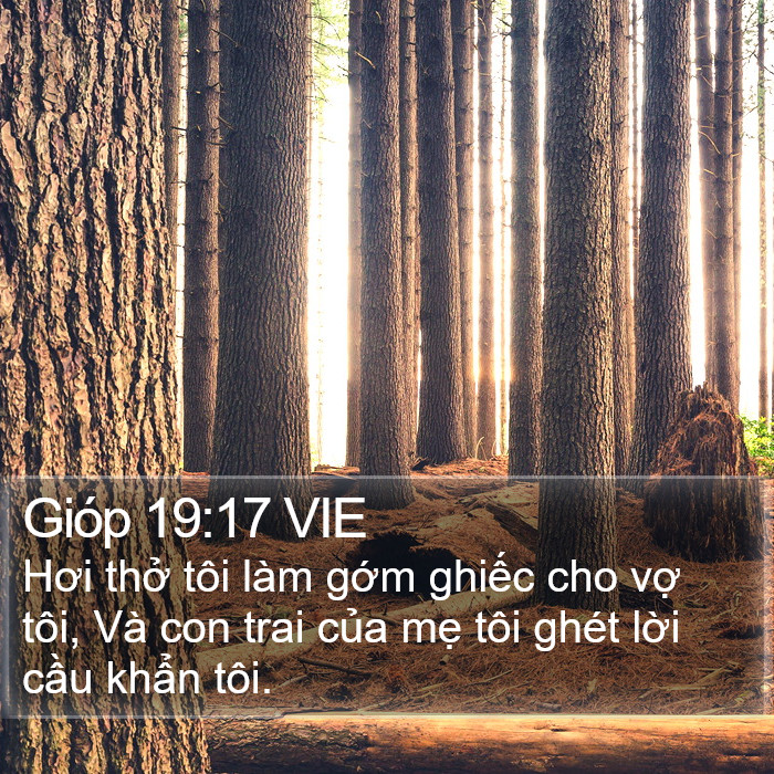 Gióp 19:17 VIE Bible Study