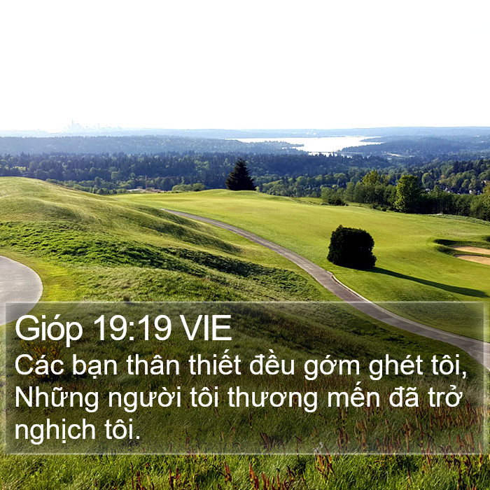 Gióp 19:19 VIE Bible Study