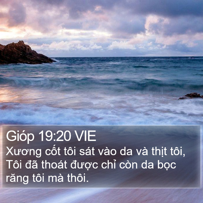 Gióp 19:20 VIE Bible Study