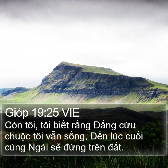 Gióp 19:25 VIE Bible Study