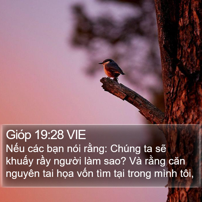 Gióp 19:28 VIE Bible Study