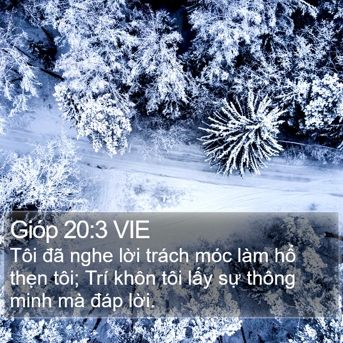 Gióp 20:3 VIE Bible Study