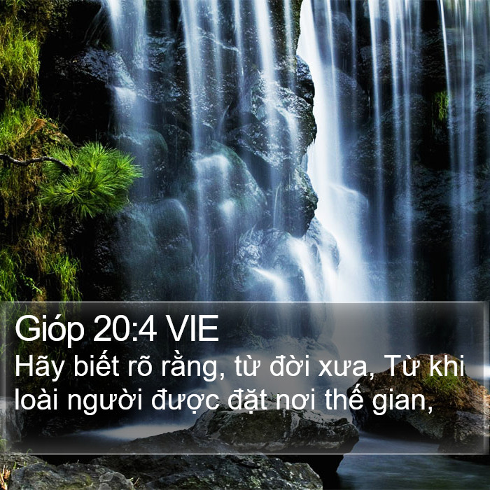 Gióp 20:4 VIE Bible Study