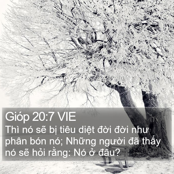 Gióp 20:7 VIE Bible Study