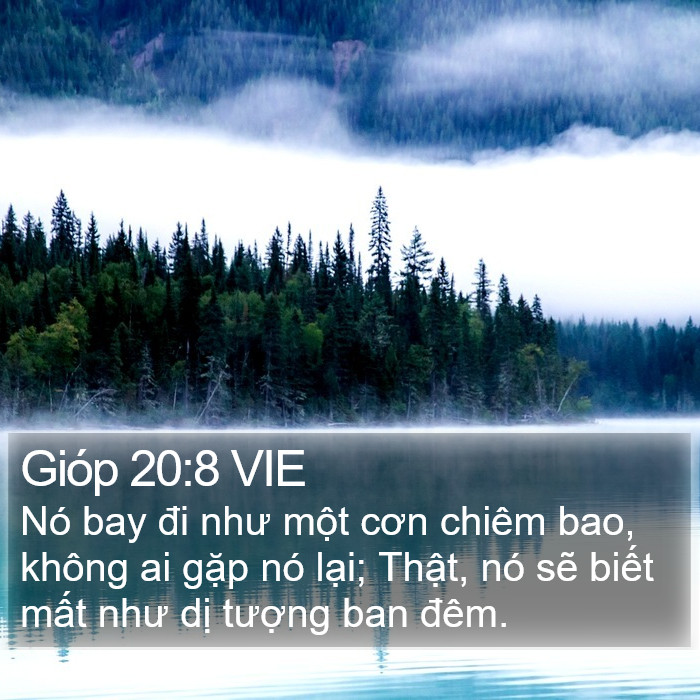 Gióp 20:8 VIE Bible Study