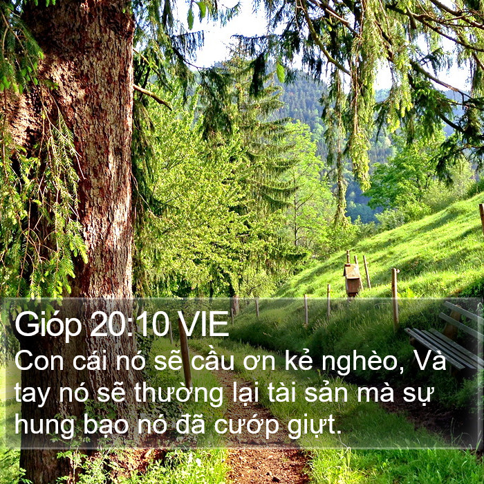 Gióp 20:10 VIE Bible Study