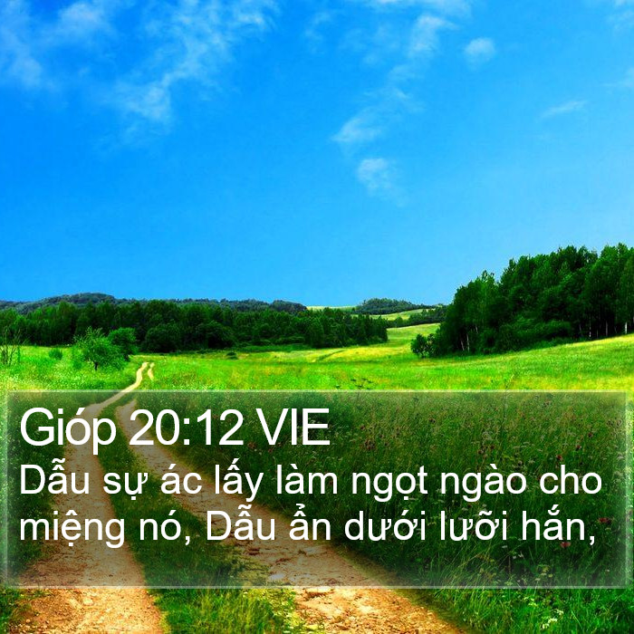 Gióp 20:12 VIE Bible Study