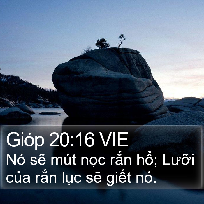 Gióp 20:16 VIE Bible Study