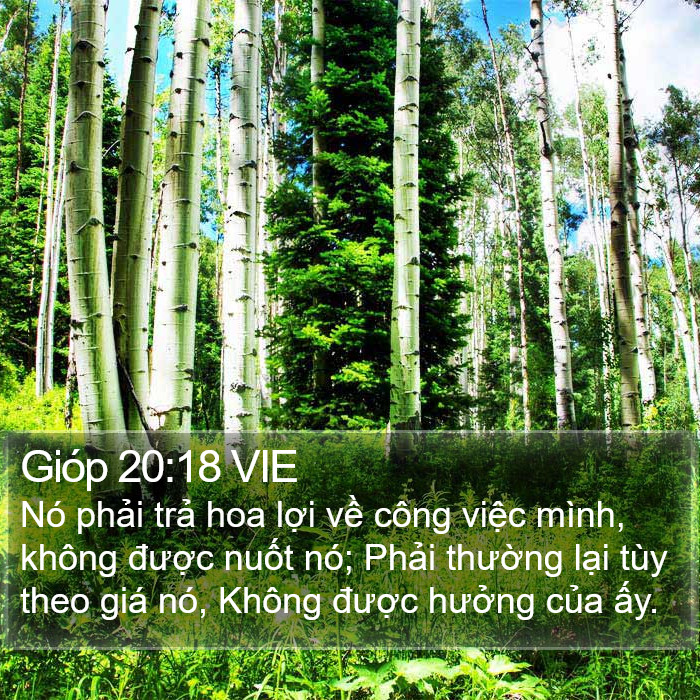 Gióp 20:18 VIE Bible Study